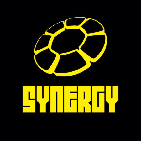 Synergy (VD/ZH)